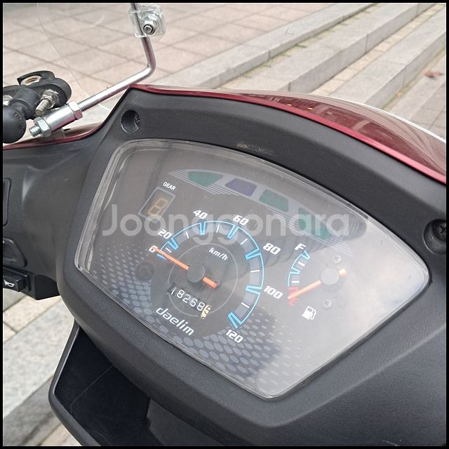 시티베스트 CB115 21년식--7