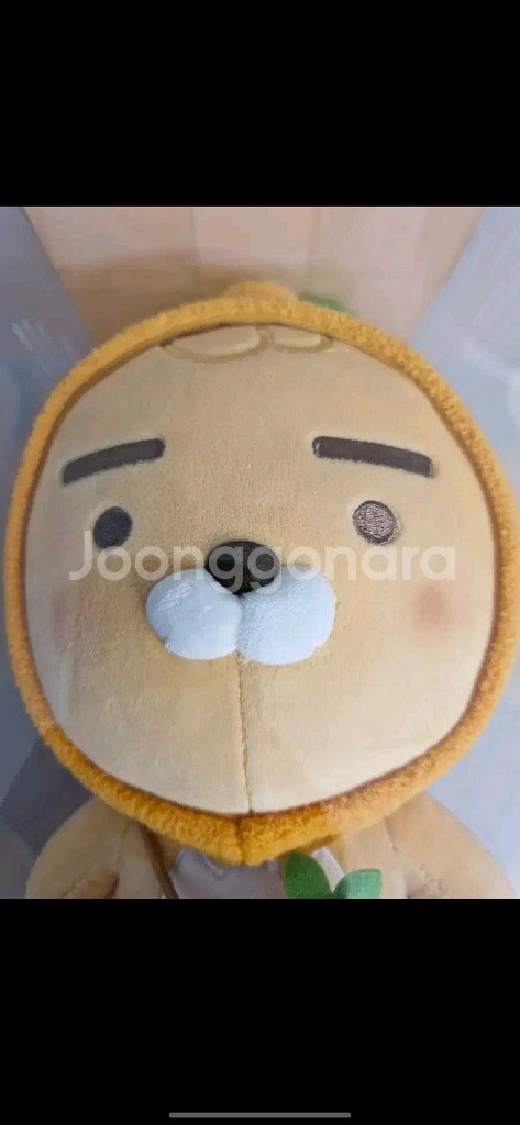 [새제품] 무료배송 카카오프렌즈 제주 한라봉 라이언 인형 판매합니--3