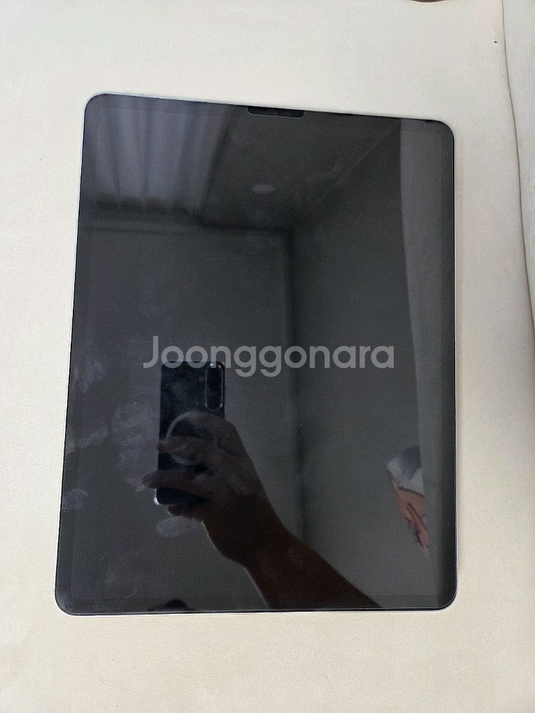 m2 아이패드 프로 12.9인치 256gb 셀룰러 판매--10