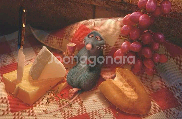 +* 낭만 프랑스 : 라따뚜이 디즈니•픽사 희귀 아트북--6