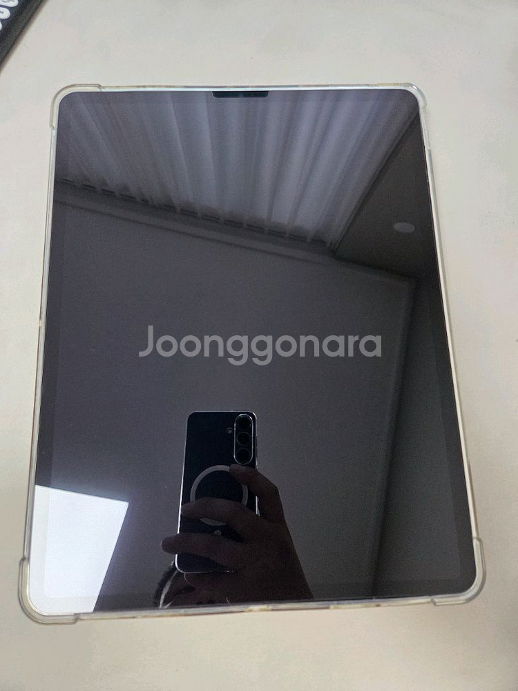 m2 아이패드 프로 12.9인치 256gb 셀룰러 판매--0