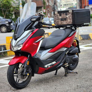 20년식/포르자300/배달세팅/최상급매물팝니다