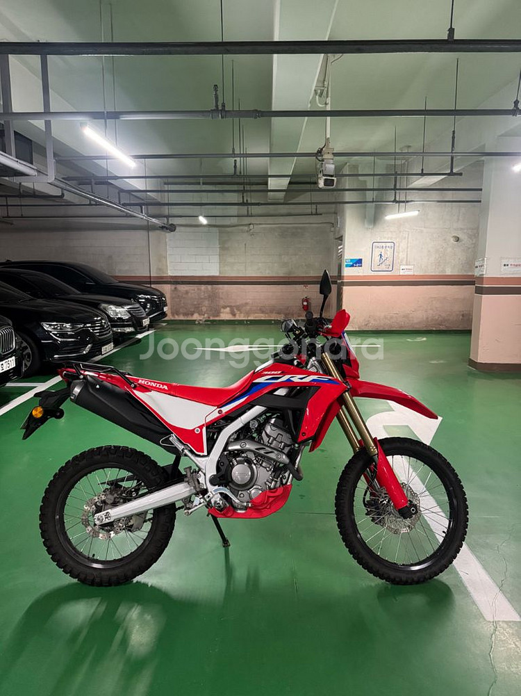 CRF300L 1,9xx 24년식--1