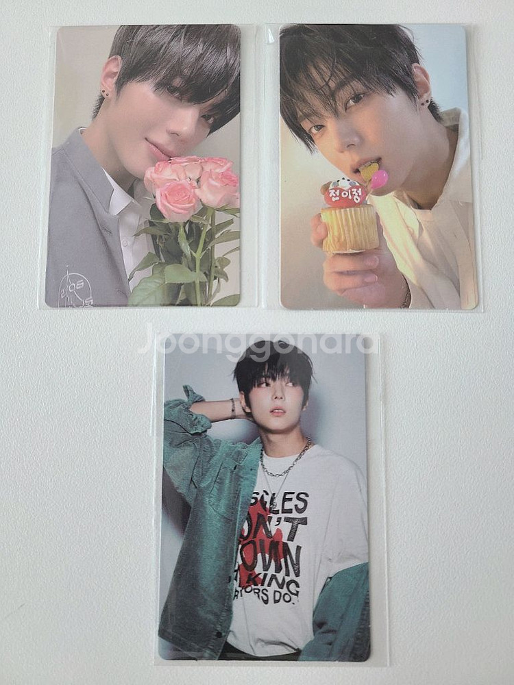 보플2 전이정포카 5,7,9번 3장세트 아카이브 팝업--0