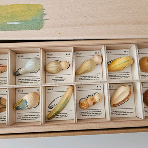 그라팟 와일드 (정품)