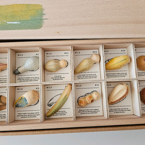 그라팟 와일드 (정품)