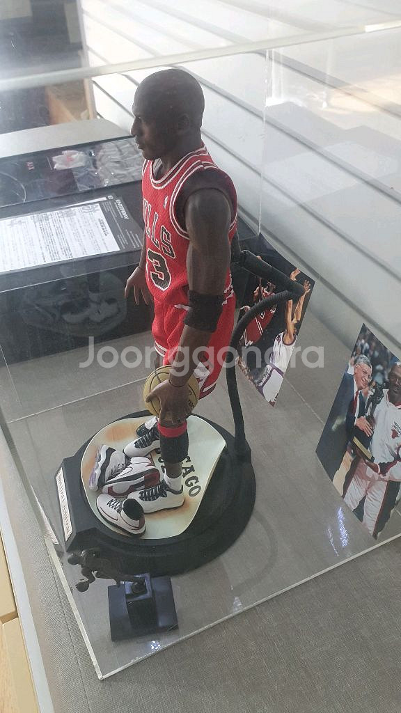 엔터베이 마이클 조던 피규어 쇼케이스포함--3