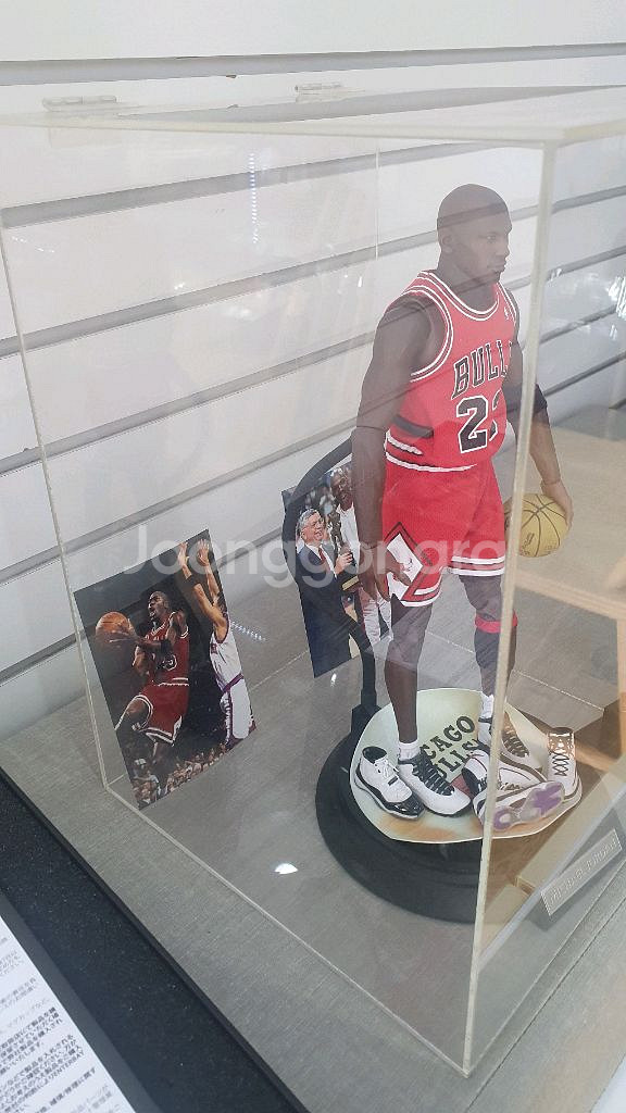 엔터베이 마이클 조던 피규어 쇼케이스포함--4