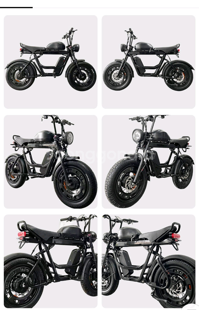 벤틀러스 MP1000 로드스터/전후방1500W/55AH--7