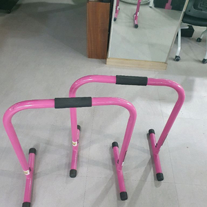 Lebert Equalizer 딥스바 핑크색, 연두색