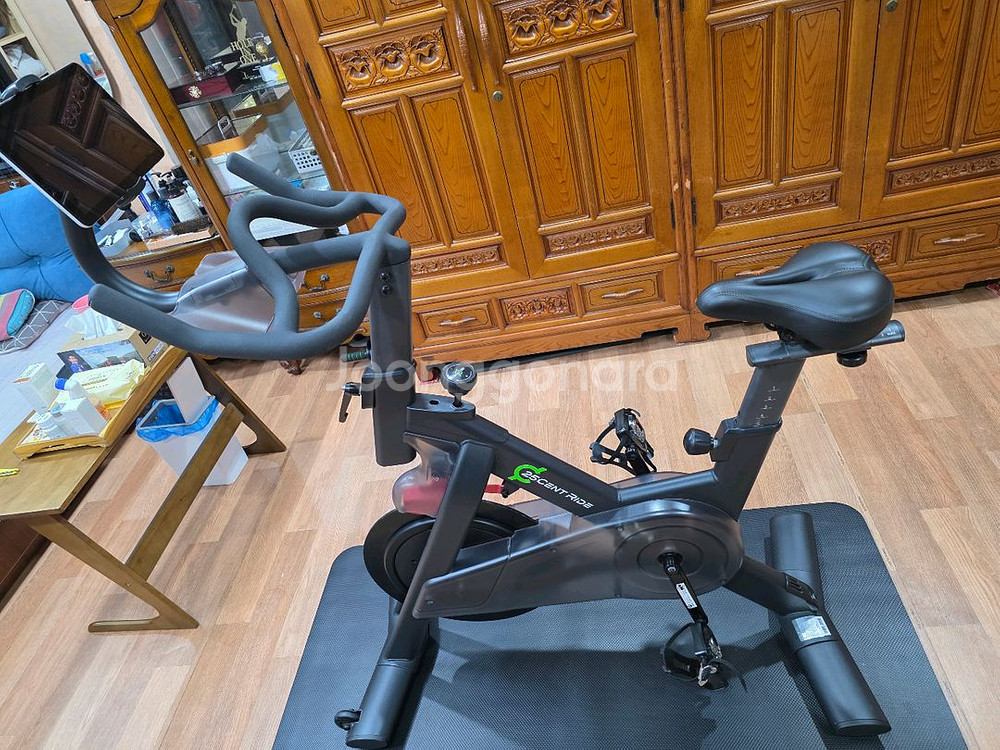 25센트라이더 실내바이크--1