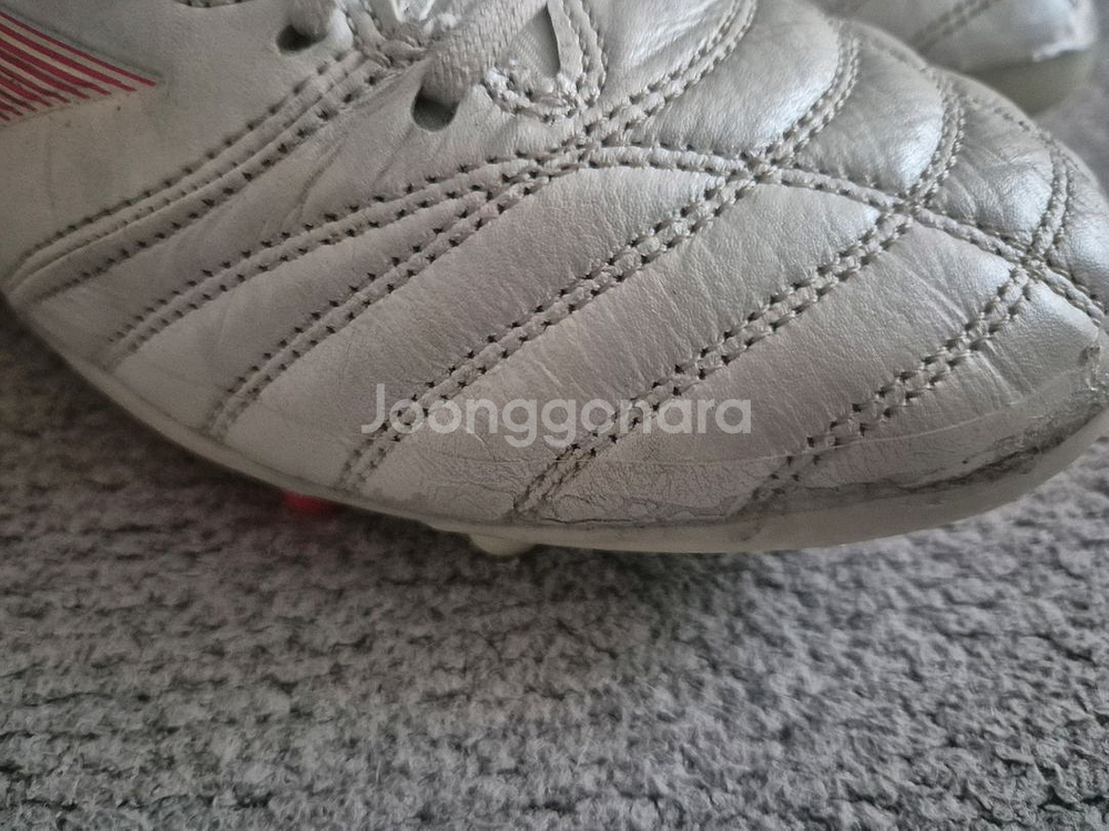 미즈노 모렐리아 네오 엘리트AG 255mm--8