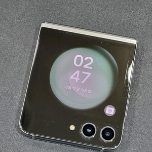 갤럭시Z플립5 256GB 민트 F731N