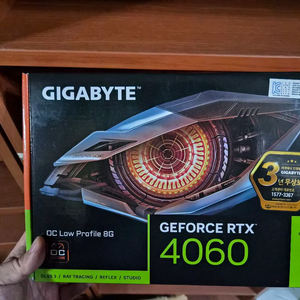 기가바이트 4060 LP