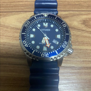 시티즌 프로마스터 다이버 시계