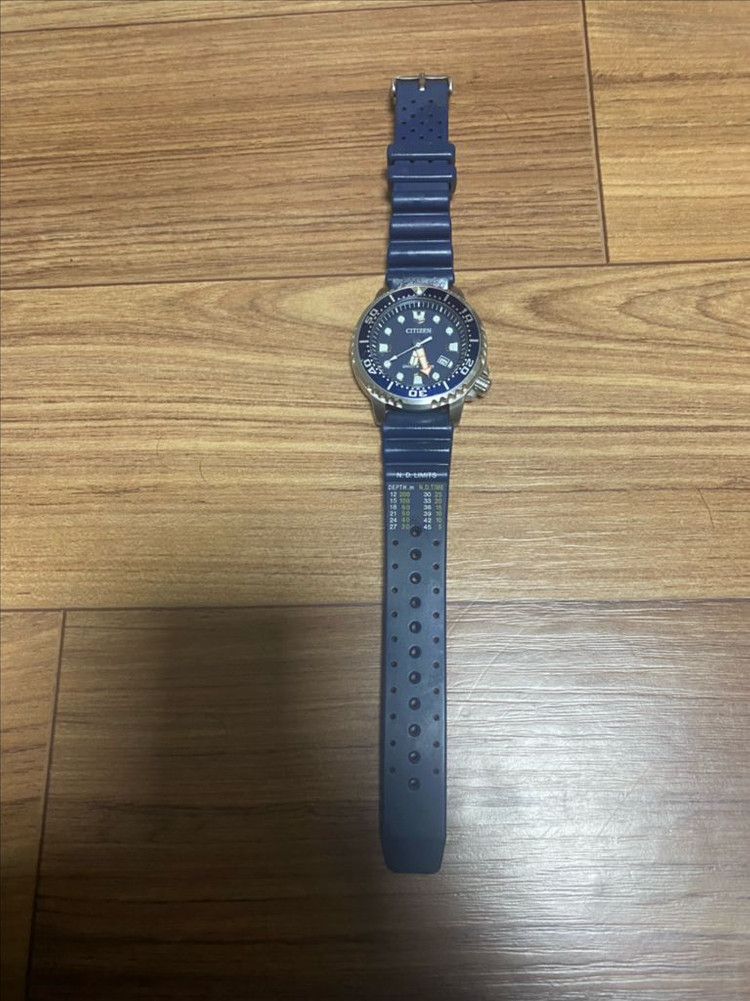 시티즌 프로마스터 다이버 시계--1