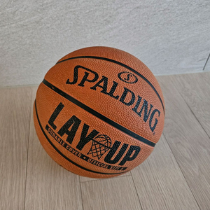 스팔딩 농구공 5호