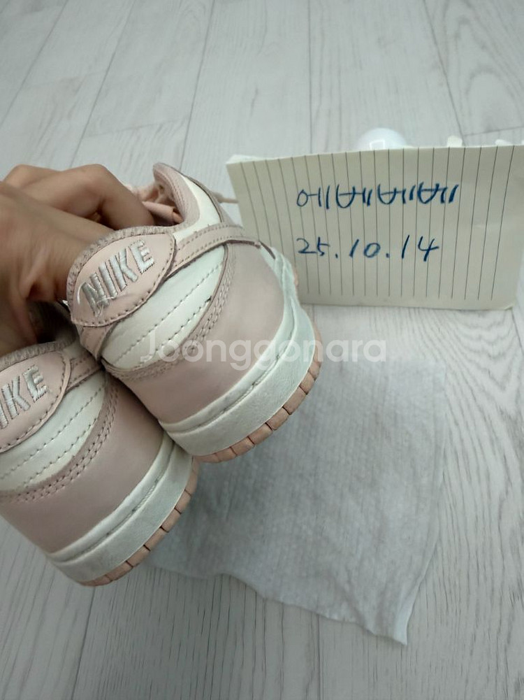 나이키 덩크 180--1