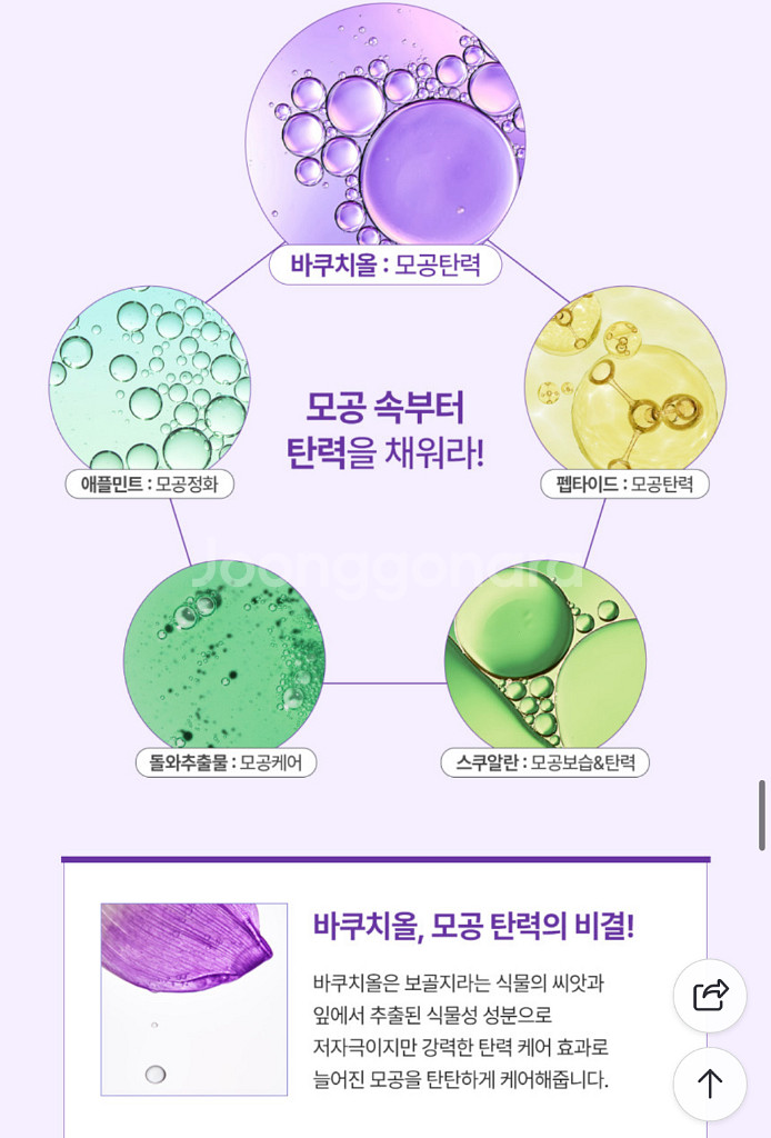 피솔루션 민트 바쿠치올 모공 올리지 세럼 30ml--3