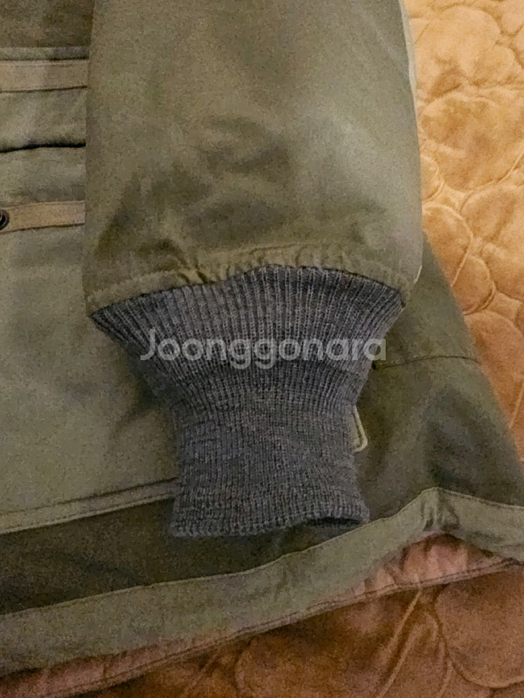 스펙테이터 175-002 <ALPINE TROOPS P--3