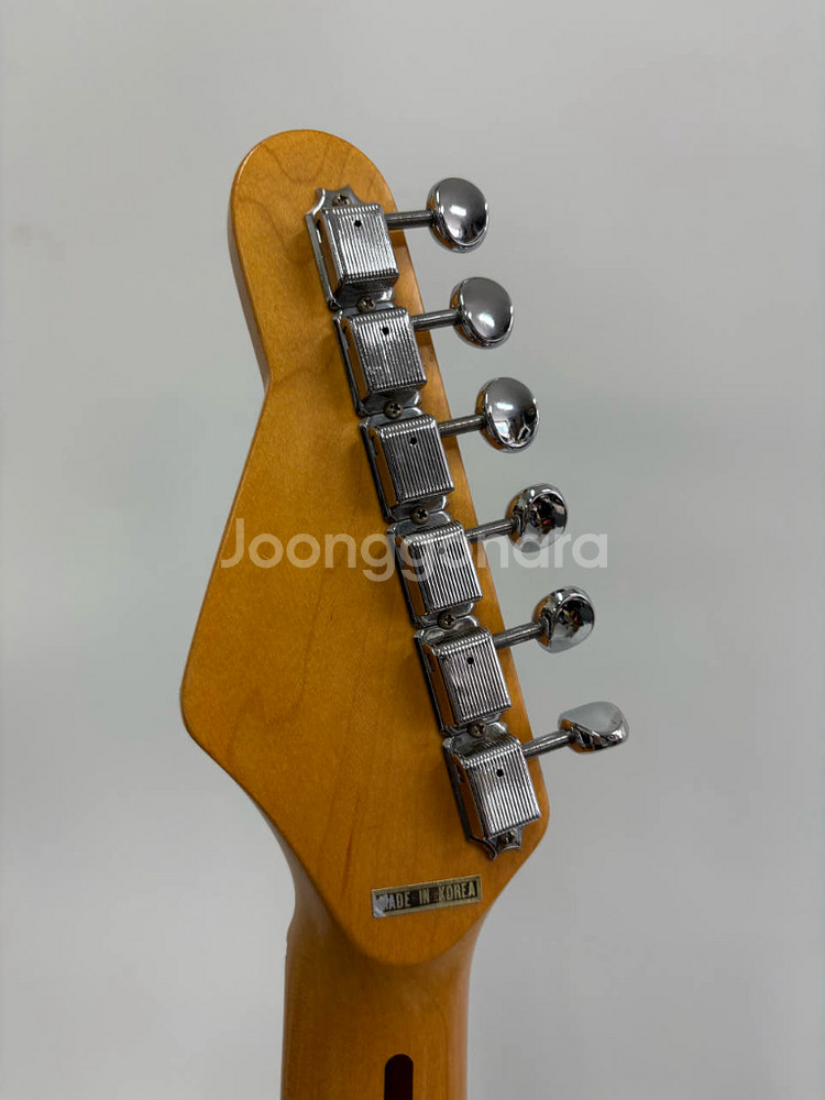 베스타 카탈리나 시리즈 일렉기타--2