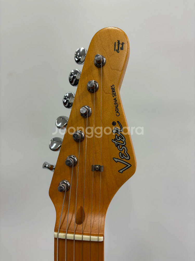 베스타 카탈리나 시리즈 일렉기타--1