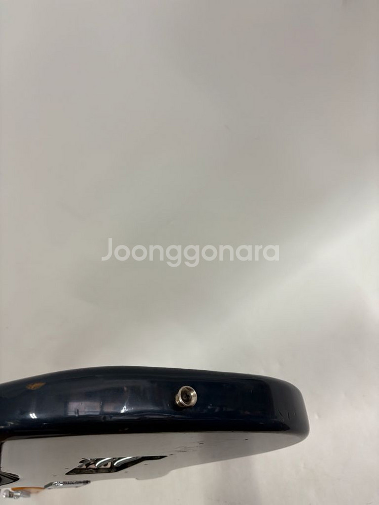 베스타 카탈리나 시리즈 일렉기타--8