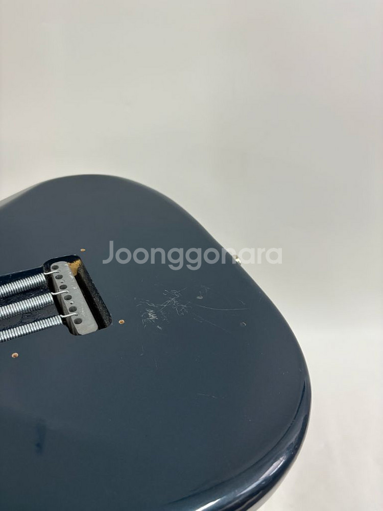 베스타 카탈리나 시리즈 일렉기타--9