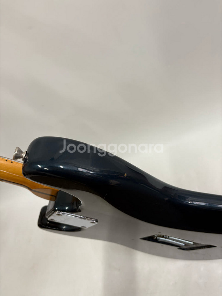 베스타 카탈리나 시리즈 일렉기타--5