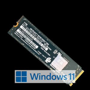 윈도우11 설치 WD BLACK M.2 SSD 1TB