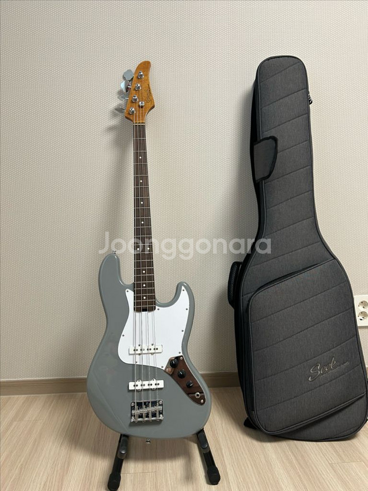 비욘드 베이스 기타 판매--0