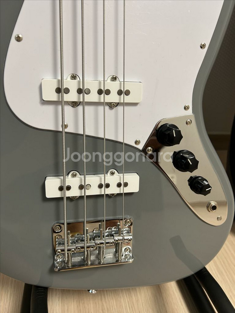 비욘드 베이스 기타 판매--1