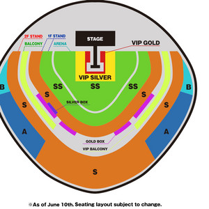 레이디가가 도쿄돔 콘서트 (1월 25일) S석 1매