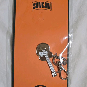 데이식스 데니멀즈팝업 악기 키링 성진 미개봉 양도