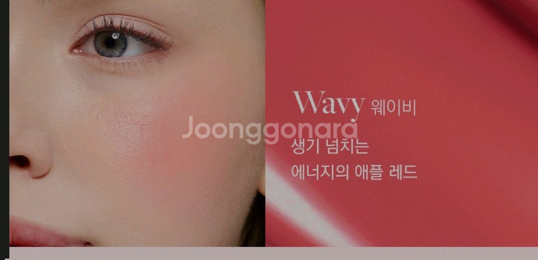 디어달리아 리퀴드 블러쉬. 여리한 사과같은 색감끝장 볼--3