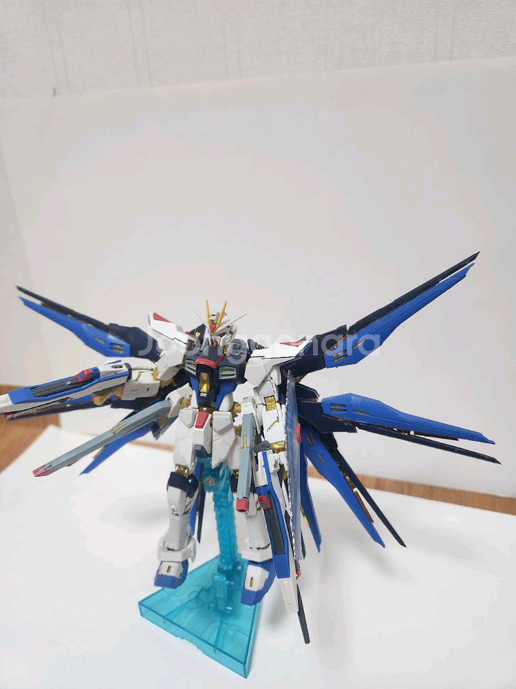 RG 스트라이크 프리덤 건담 가조립 판매--1