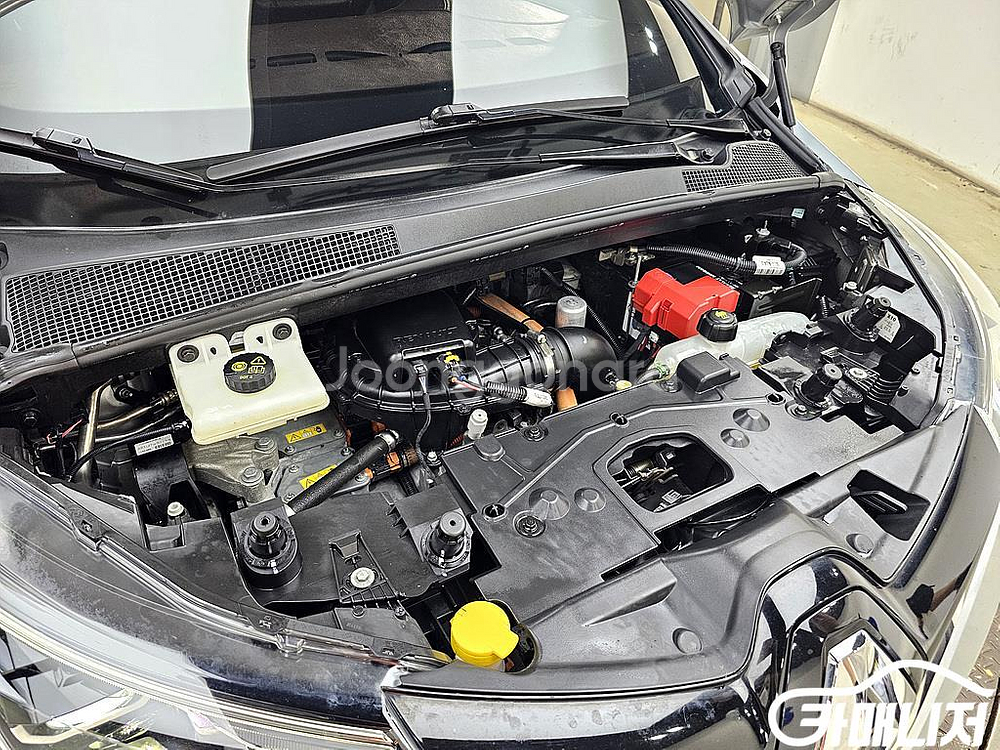 [르노코리아(삼성)]조에 인텐스 #앱특가--5