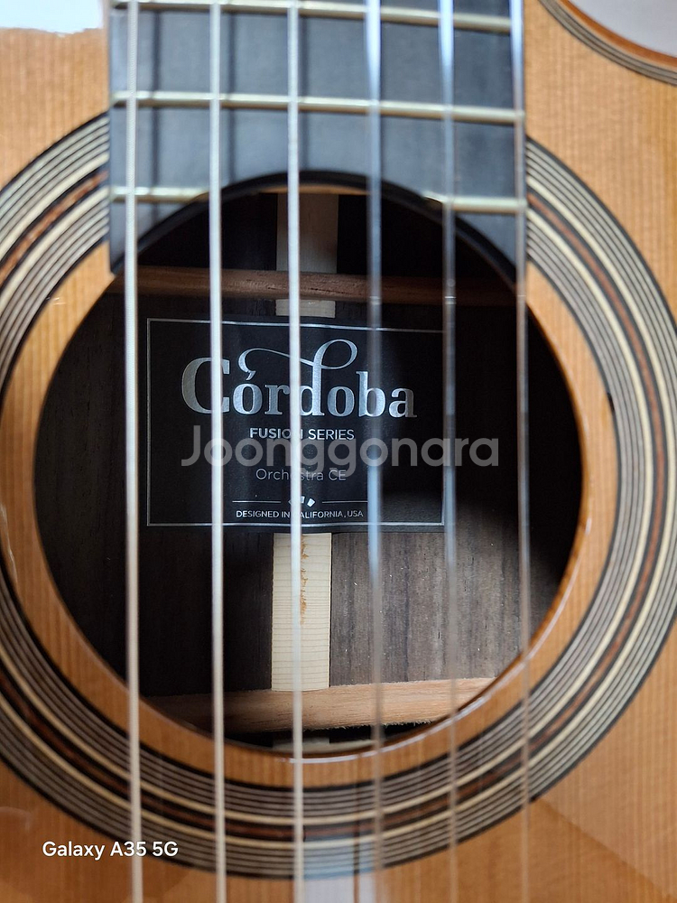 코르도바 퓨전 오케스트라 CE--2