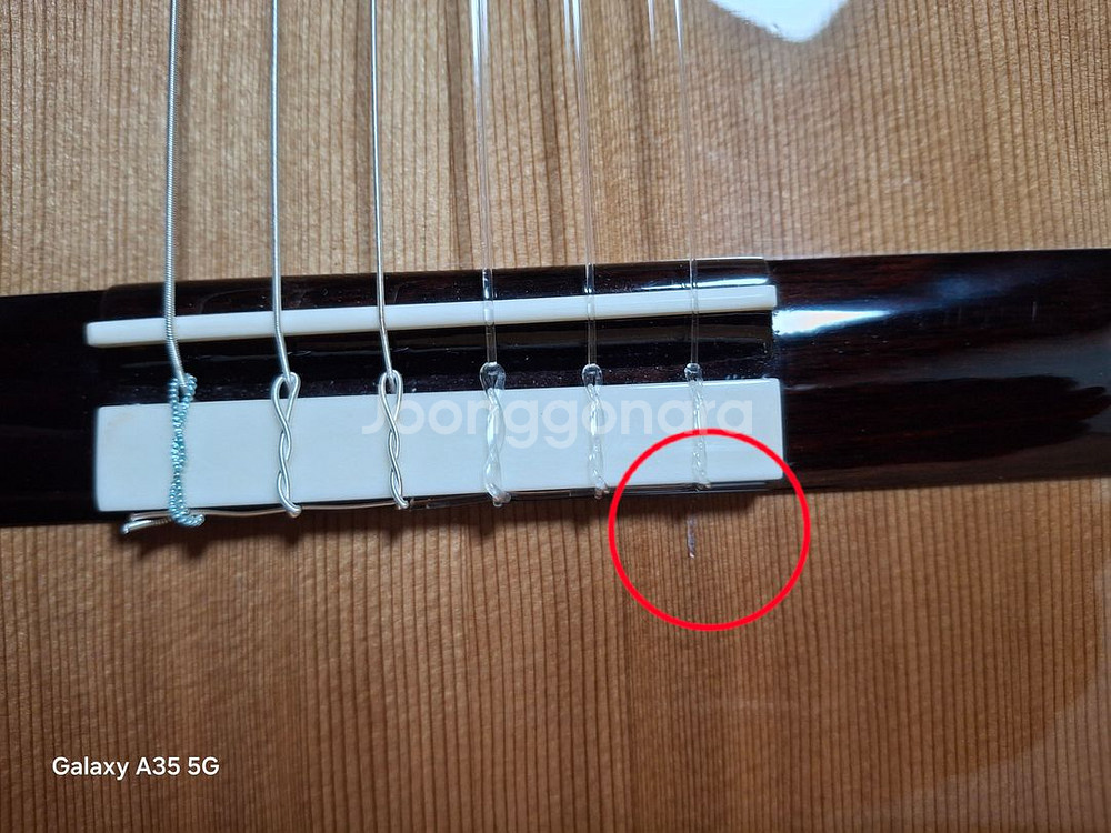 코르도바 퓨전 오케스트라 CE--3