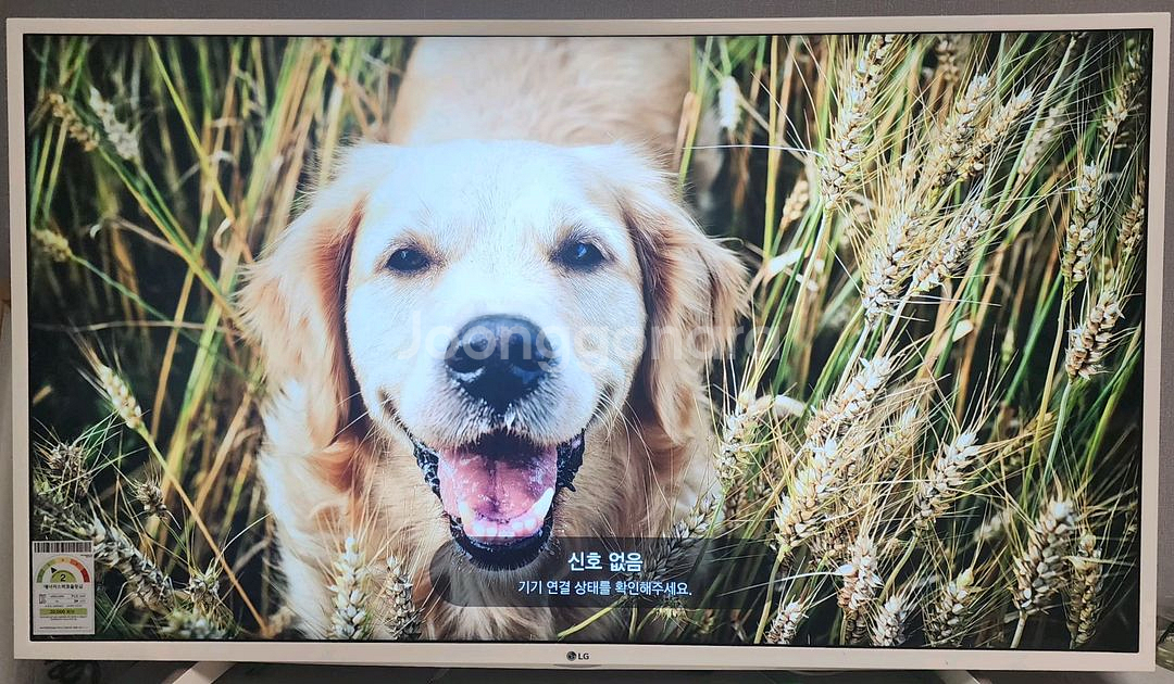 LG 49인치 LED TV 모델 49UH6420--1