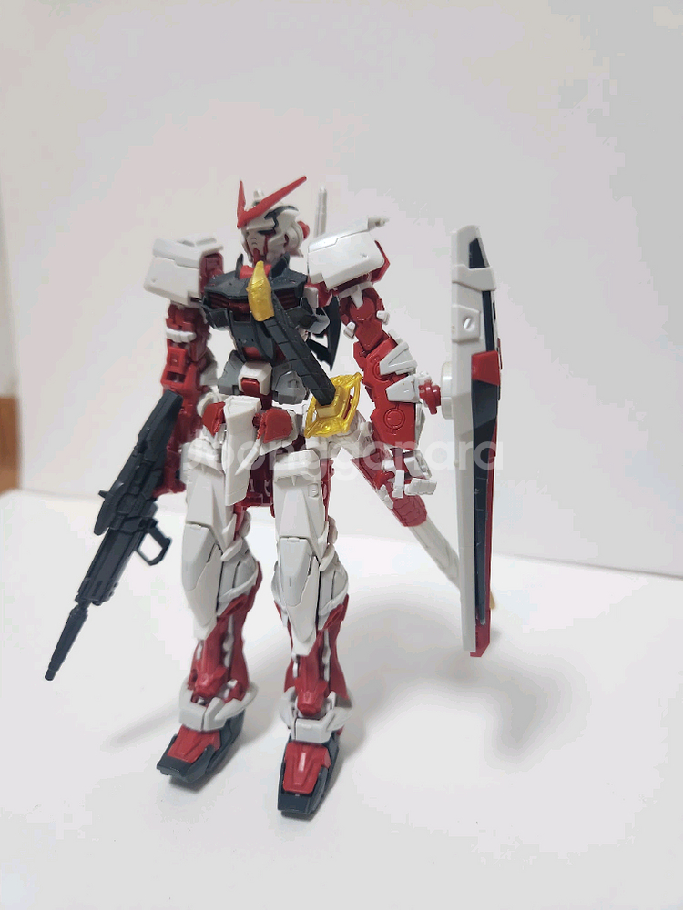 RG 아스트레이 레드프레임--0