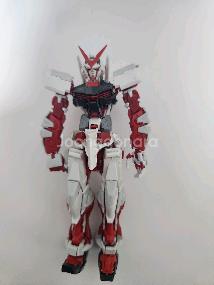 RG 아스트레이 레드프레임--3