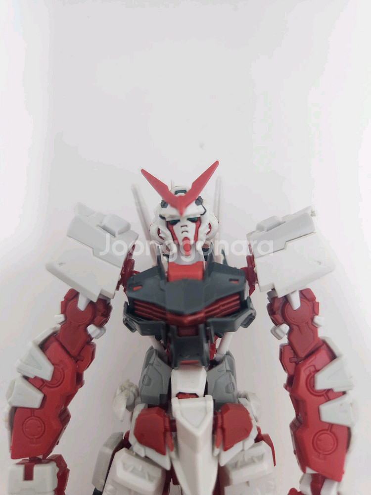 RG 아스트레이 레드프레임--4