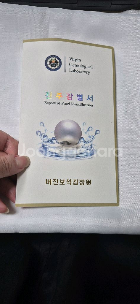 [뮤트] 14k 타히티 남양 흑진주 귀걸이--8