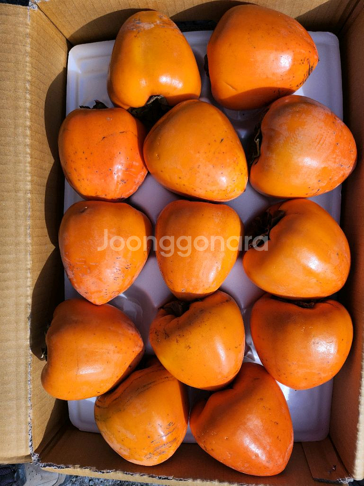 지리산 구례 부유단감 대봉 판매합니다--6