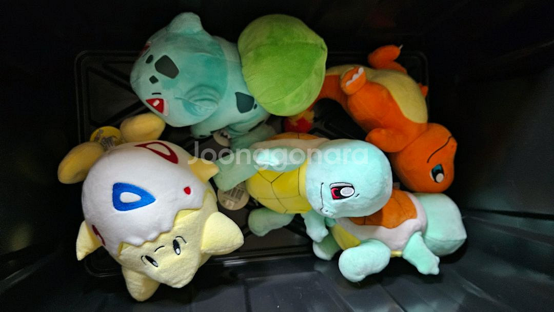 파이리 꼬부기 이상해씨 토게피 정품 인형 새제품--0