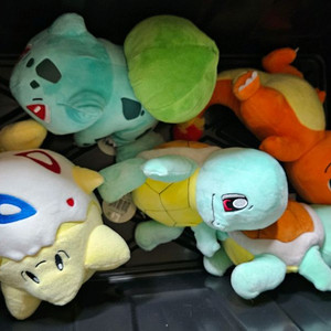 파이리 꼬부기 이상해씨 토게피 정품 인형 새제품