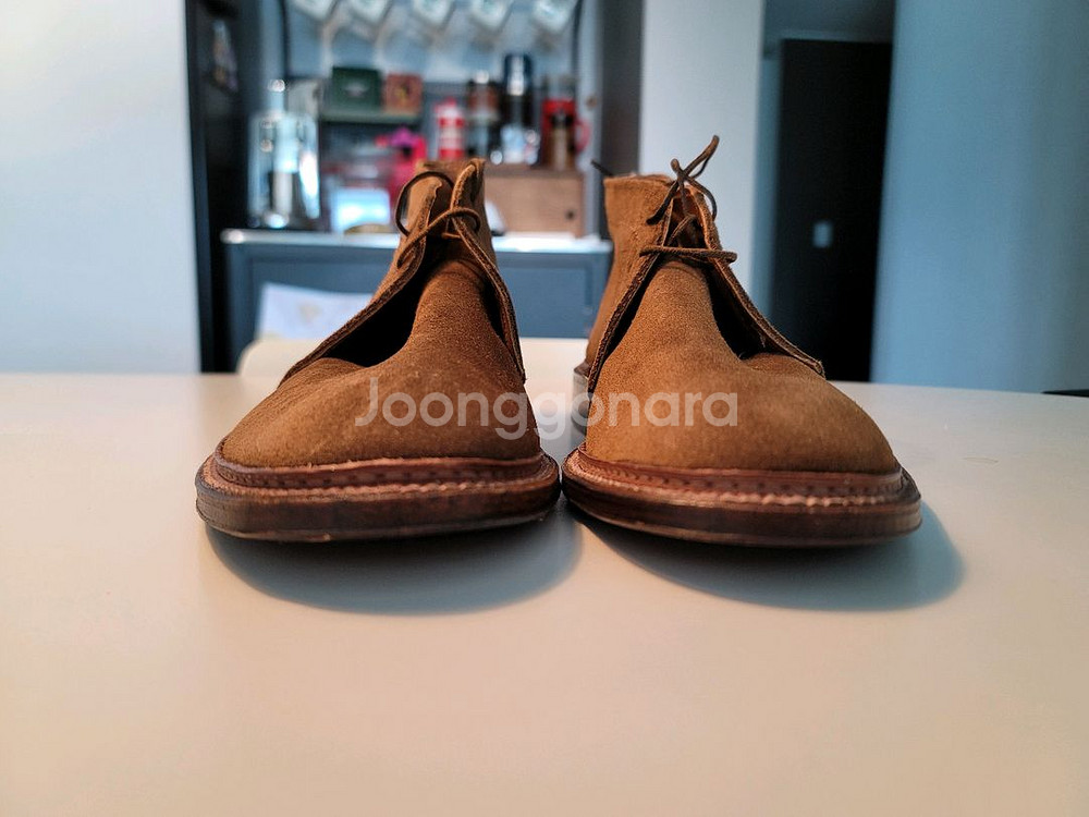 알든 처카부츠--0