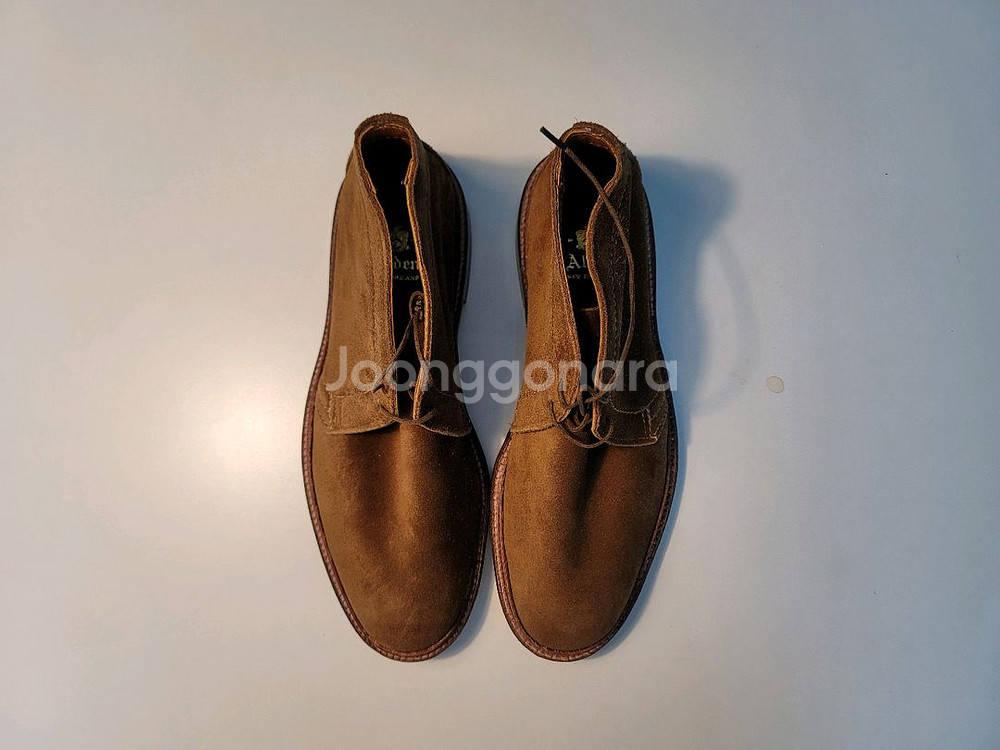 알든 처카부츠--3