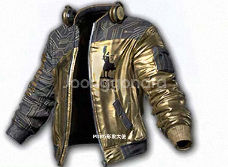 배그 골드 지스카 스킨코드 특가!!--0